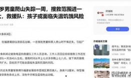 失踪男孩最新爆料新闻,揭秘神秘爆料背后的真相